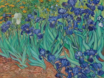 The Dutch painter began Irises&nbsp;in 1889 on his first full day at a psychiatric hospital.