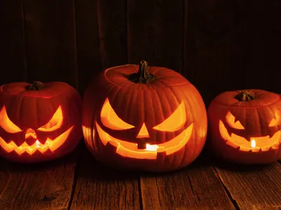 Carved Cucurbita pepo&nbsp;traditionally grace stoops around Halloween.