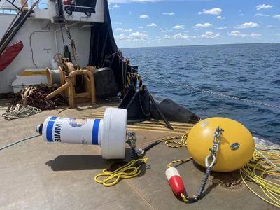 The buoys and mooring lines help divers easily identify the wrecks while also giving boaters somewhere to tie up.