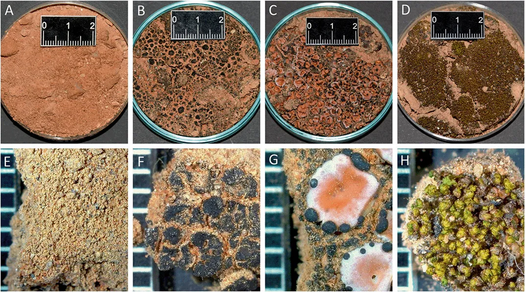 Biocrusts