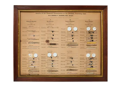 Arsenic tests for the Lydia Sherman trial of 1872