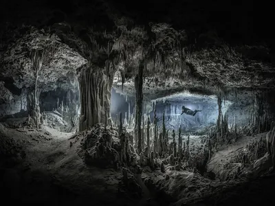 Massive columns and karst formations decorate the vast chamber of Cenote Xulo.