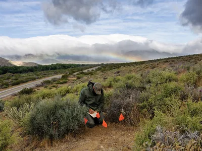 a man crouched down in  wilderness