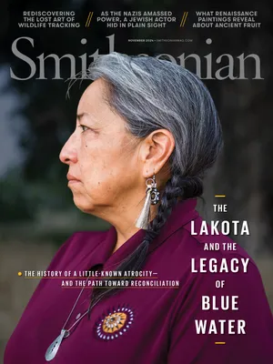 Cover image of the Smithsonian Magazine November 2024 issue