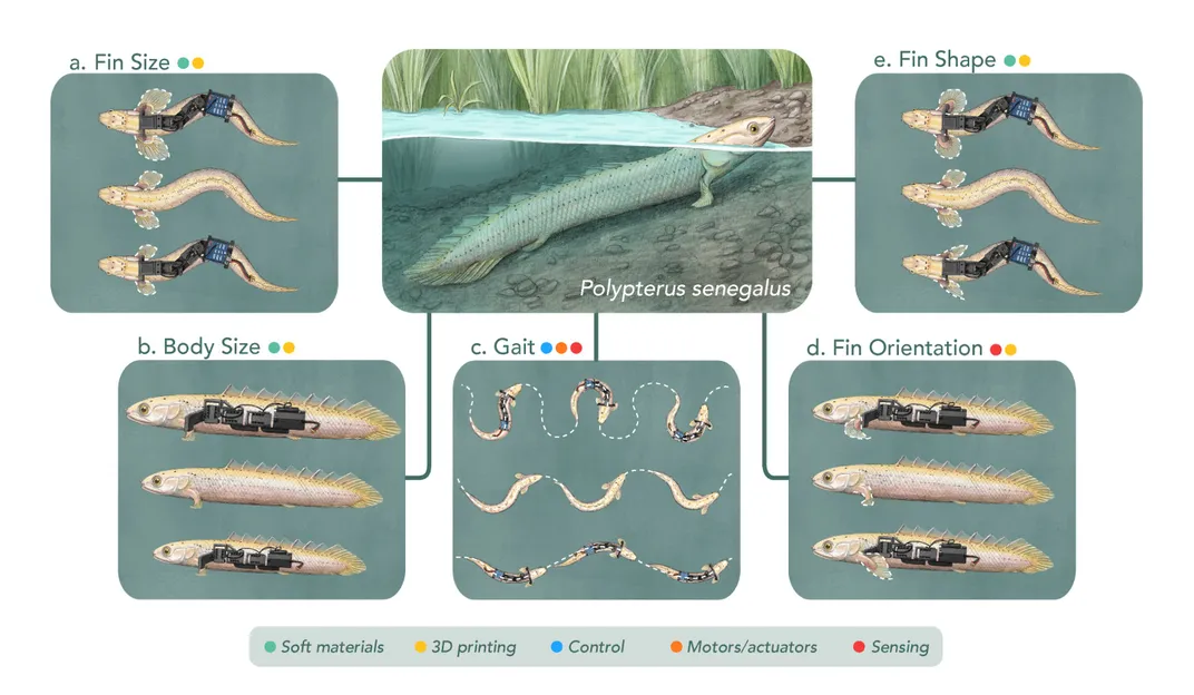 illustration of fish robots