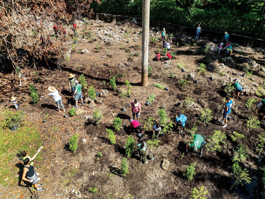 Tree planting at Camp Mahachee.