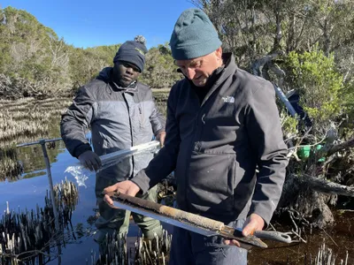 The researchers of the paper, Matthew Adeleye, University of Cambridge, and David Bowman, University of Tasmania, study a sediment core.