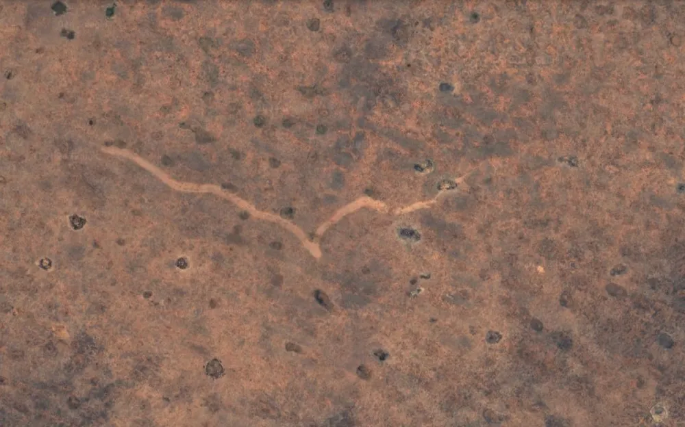 Overhead view of a squiggly line against tan backdrop